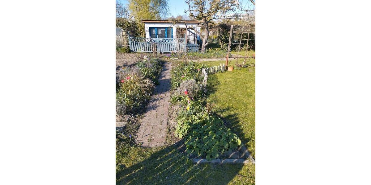 Grundstück Papendorf - 2.000&euro; | Angebot:26291984