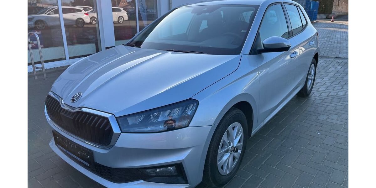 Skoda Fabia 14.886 km 15.990 &euro; Tessin 18195
