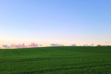 Erstbezug mit Aufzug und EBK in Tessin! 2 zimmer