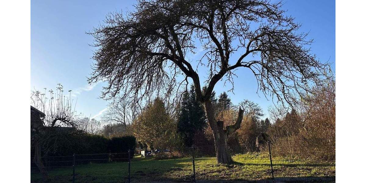 Mehrfamilienhaus, Wohnhaus Jürgenshagen - 9 Zimmer, 400 m&sup2;, 589.000&euro; | Angebot:26489073