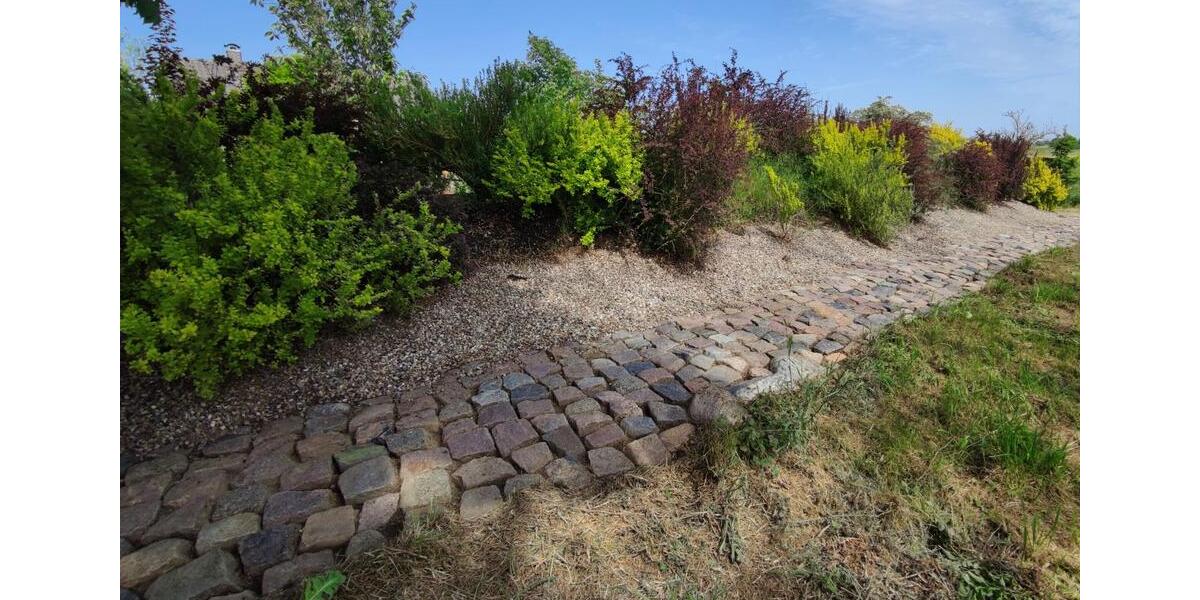 Einfamilienhaus Schwaan - 6 Zimmer, 185 m&sup2;, 549.999&euro; | Angebot:24419846