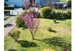 Einfamilienhaus Kühlungsborn - 4 Zimmer, 120 m&sup2;, 499.000&euro; | Angebot:27243117