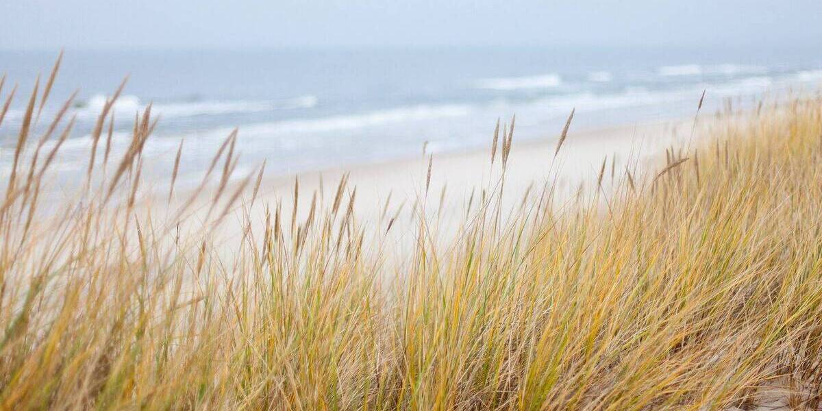 Etagenwohnung kühlungsborn - 2 Zimmer, 55 m&sup2;, 349.000&euro; | Angebot:26092398