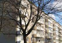 Wohnung zum Mieten in Rostock 550 € 50 m²