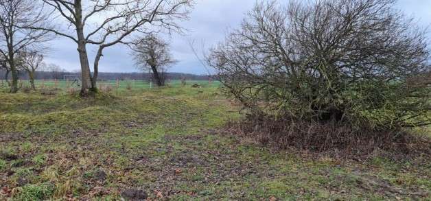 Grundstück zu verkaufen in Thulendorf 2.168.900 € 52900 m²