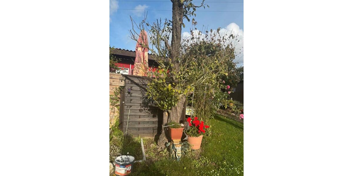 Grundstück Rostock Hansaviertel - 2.500&euro; | Angebot:26357398