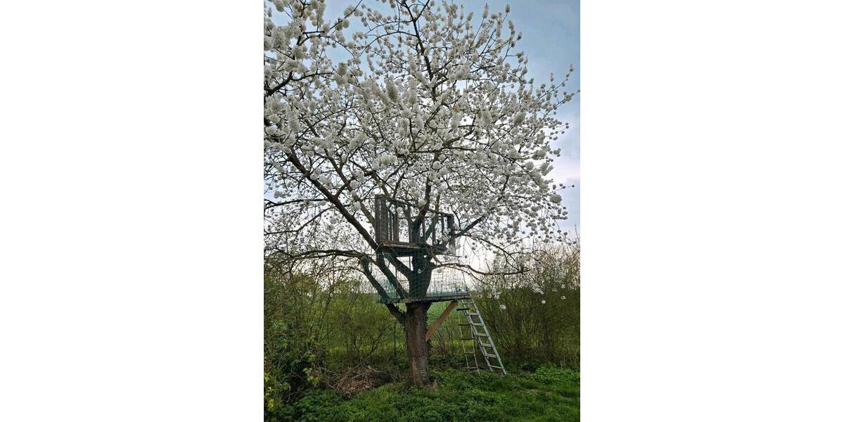 Einfamilienhaus Bützow - 6 Zimmer, 160 m&sup2;, 300.000&euro; | Angebot:26224157