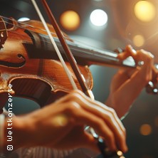 Vivaldi - Die Vier Jahreszeiten - Kammerorchester der Neuen Philharmonie Hamburg 17.01.2027 Nikolaikirche