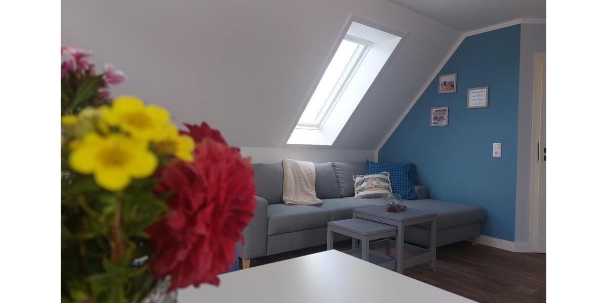 Dachgeschoßwohnung Kröpelin - 3 Zimmer, 48 m&sup2;, 830&euro; | Angebot:26553100