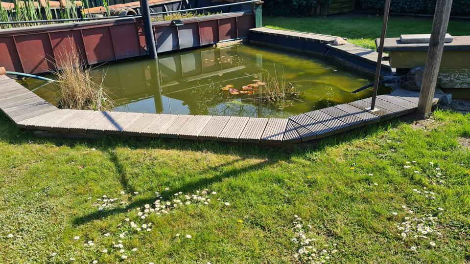 Grundstück Rostock Groß-Klein - 9.000&euro; | Angebot:21532834