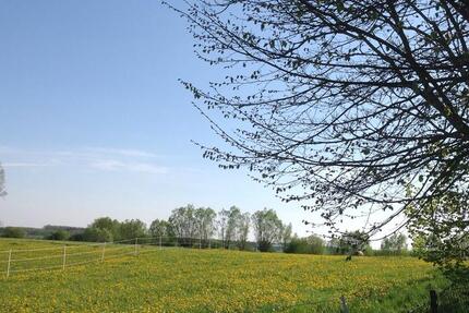 Wohnung Satow - 2 Zimmer, 52 m&sup2;, 530&euro; | Angebot:24813952