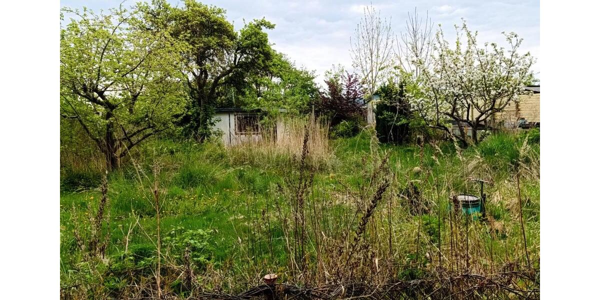Grundstück Rostock Hansaviertel - 500&euro; | Angebot:26605709
