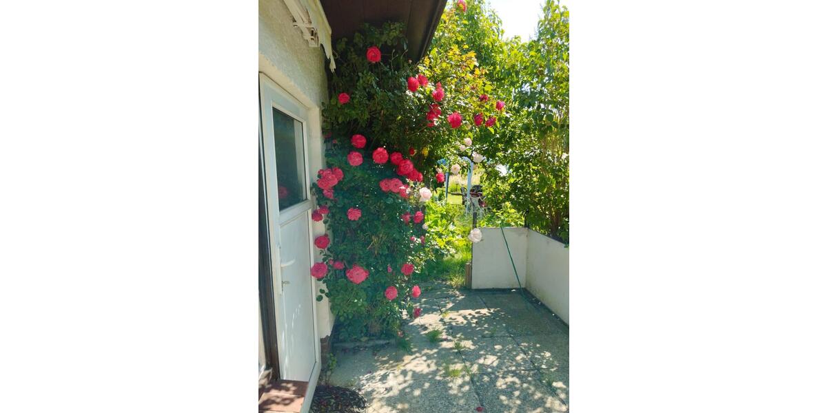 Grundstück Admannshagen-Bargeshagen Bargeshagen - 3.500&euro; | Angebot:26375029