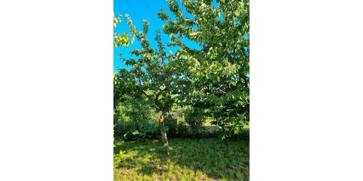Grundstück Rostock Hansaviertel - 2.800&euro; | Angebot:26677694