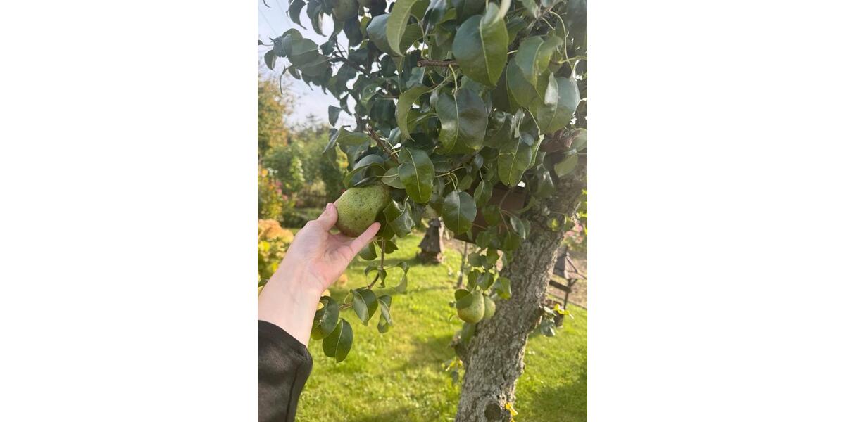 Grundstück Rostock Groß-Klein - 3.100&euro; | Angebot:26049521