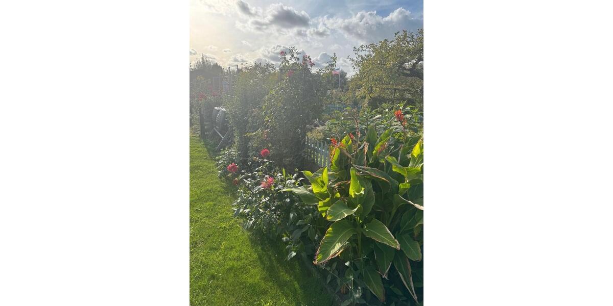 Grundstück Rostock Groß-Klein - 3.100&euro; | Angebot:26049521