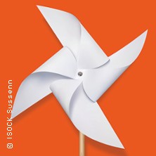 Don Quijote 31.12.2025 Großes Haus, Volkstheater Rostock