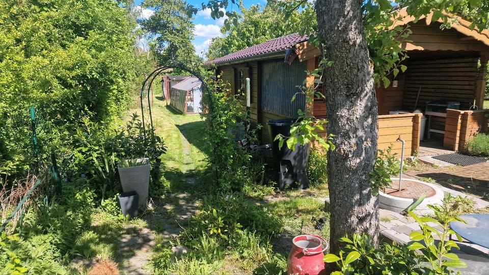 Grundstück Papendorf - 3.000&euro; | Angebot:26616060
