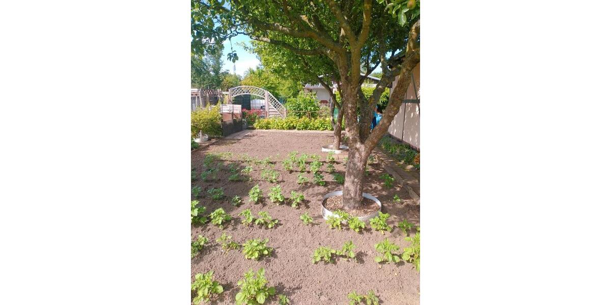 Grundstück Admannshagen-Bargeshagen Bargeshagen - 4.300&euro; | Angebot:26515264