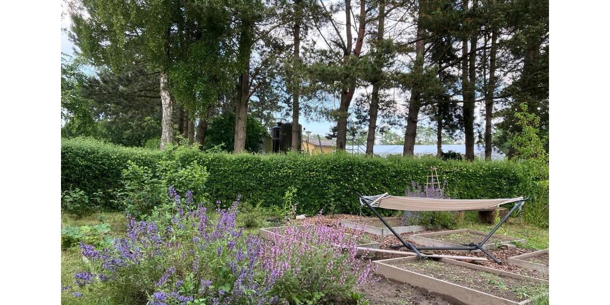 Grundstück Rostock - 7.000&euro; | Angebot:25256780