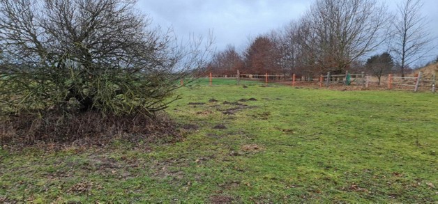 Ca 51400m2 Acker und Weideland nahe Rostock - Grundstück Thulendorf | Angebot:19800536