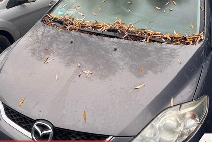 Mazda 5 244.765 km 690 &euro; Rostock-Warnemünde 18119