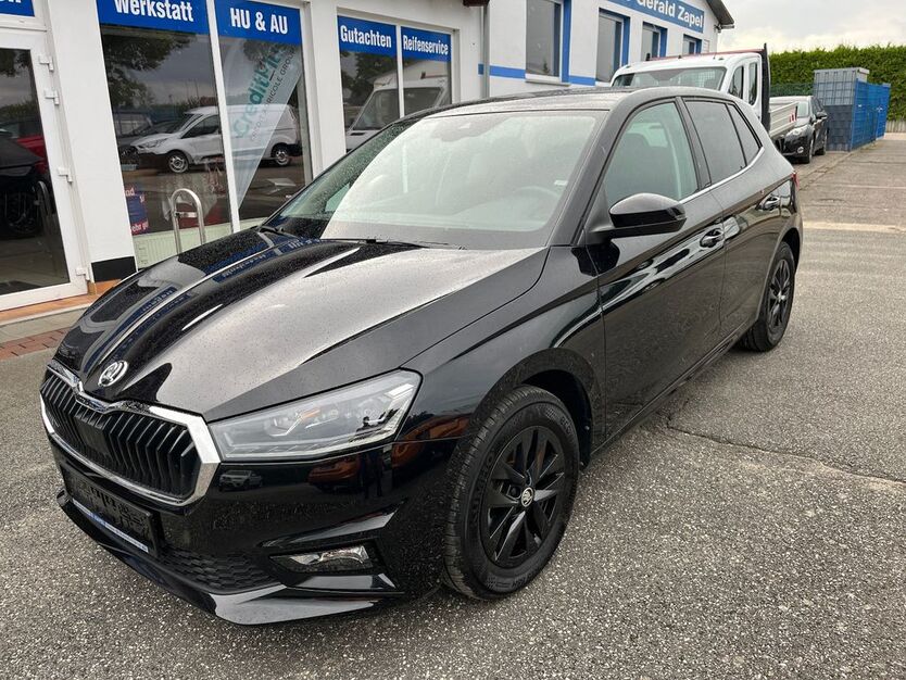 Skoda Fabia 11.566 km 19.990 € Tessin 18195