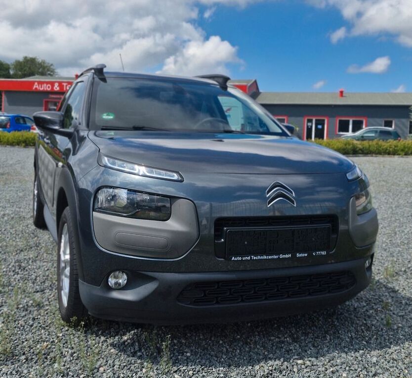 C4 Cactus