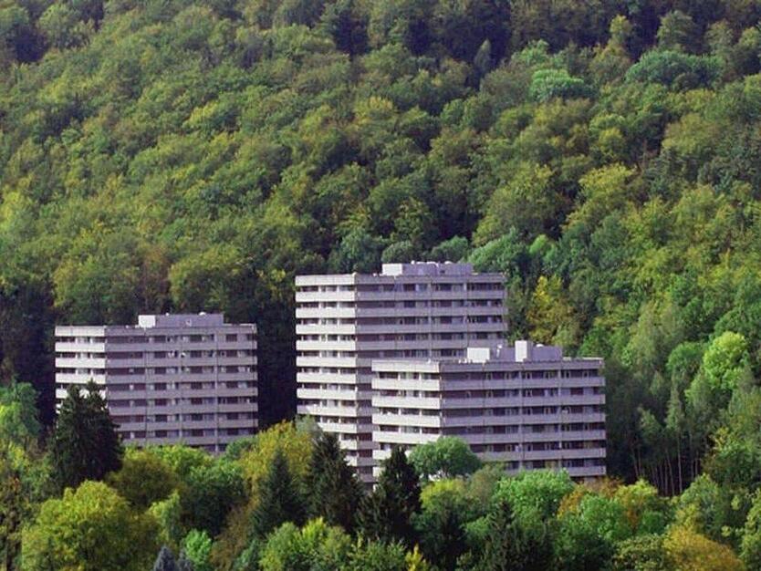 2 Zimmer Wohnung Bad Harzburg