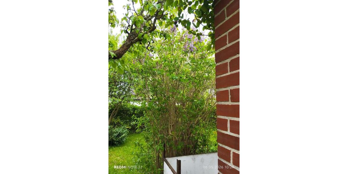 Grundstück Admannshagen-Bargeshagen Bargeshagen - 3.500&euro; | Angebot:26375029