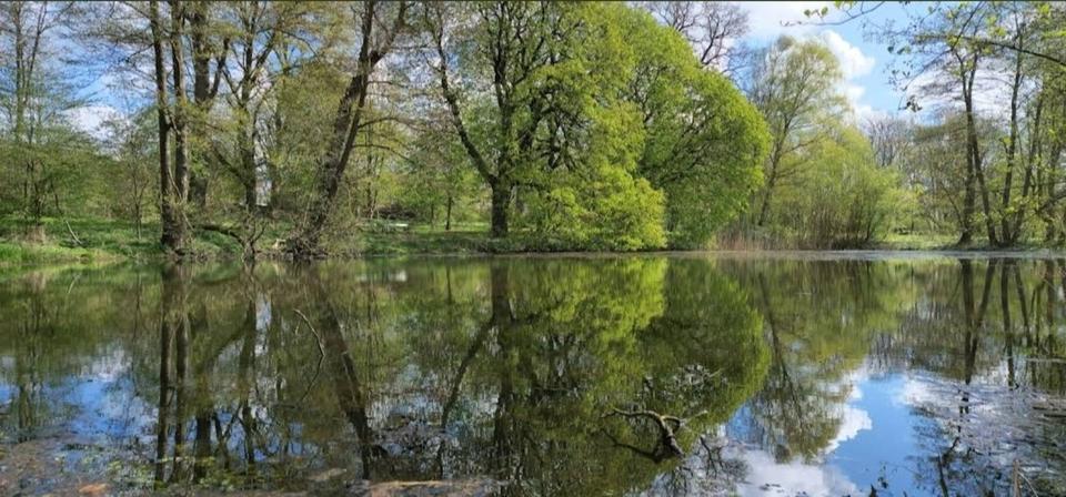 Etagenwohnung Sanitz - 1 Zimmer, 15 m&sup2;, 50&euro; | Angebot:25364657