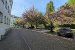 Etagenwohnung Rostock Stadtmitte - 2 Zimmer, 42 m&sup2;, 393&euro; | Angebot:26919941