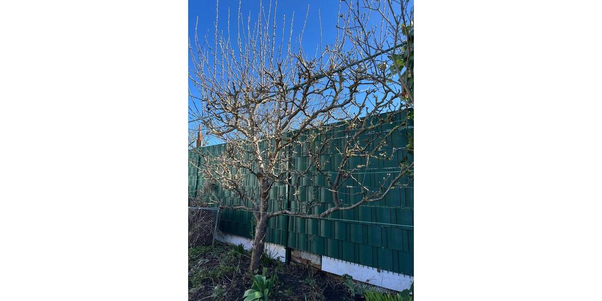 Grundstück Rostock Groß-Klein - 4.300&euro; | Angebot:26040245