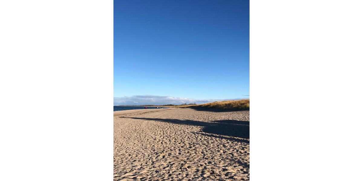 Ferienimmobilie Bentwisch - 59&euro; | Angebot:25822014