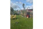 Grundstück Rostock Hansaviertel - 2.500&euro; | Angebot:26357398