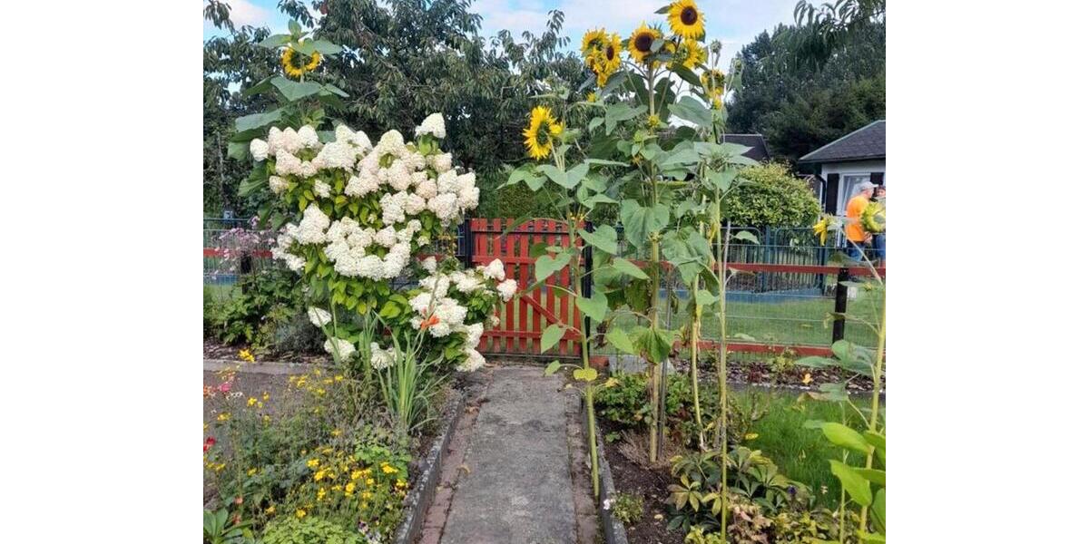 Grundstück Rostock Alt Bartelsdorf - 4.750&euro; | Angebot:26032094