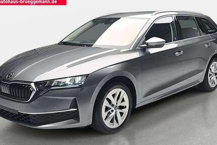 Skoda Octavia 6.200 km 30.990 € Rostock 18069