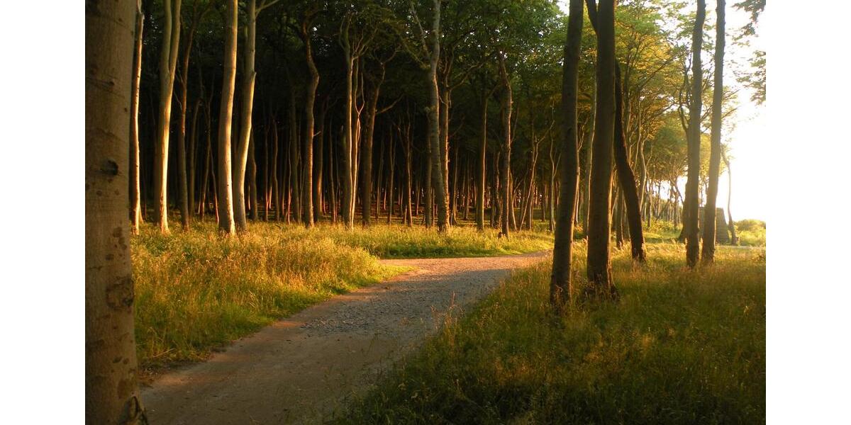 Ferienimmobilie Admannshagen-Bargeshagen Bargeshagen - 65&euro; | Angebot:26036332