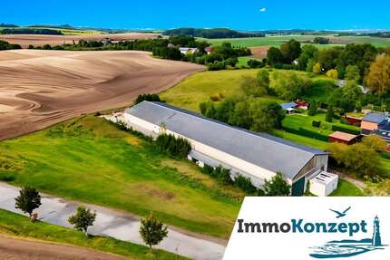 Halle in Satow 1.645 € 470 m² zimmer