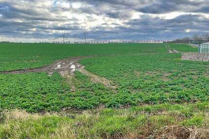 Grundstück Dummerstorf - 144.440&euro; | Angebot:26103942