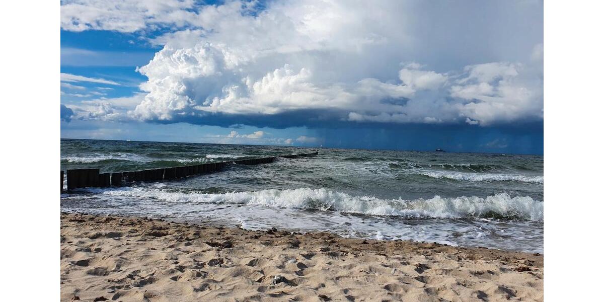 Ferienimmobilie Admannshagen-Bargeshagen Bargeshagen - 65&euro; | Angebot:26036332