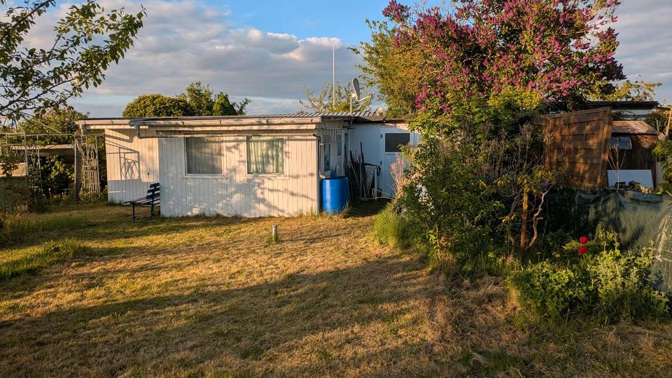 Grundstück Rostock Evershagen - 1.000&euro; | Angebot:26539592