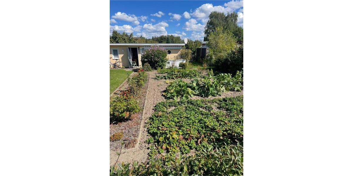Grundstück Papendorf - 3.000&euro; | Angebot:26364296