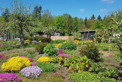 Grundstück Rostock - 1.800&euro; | Angebot:25402702