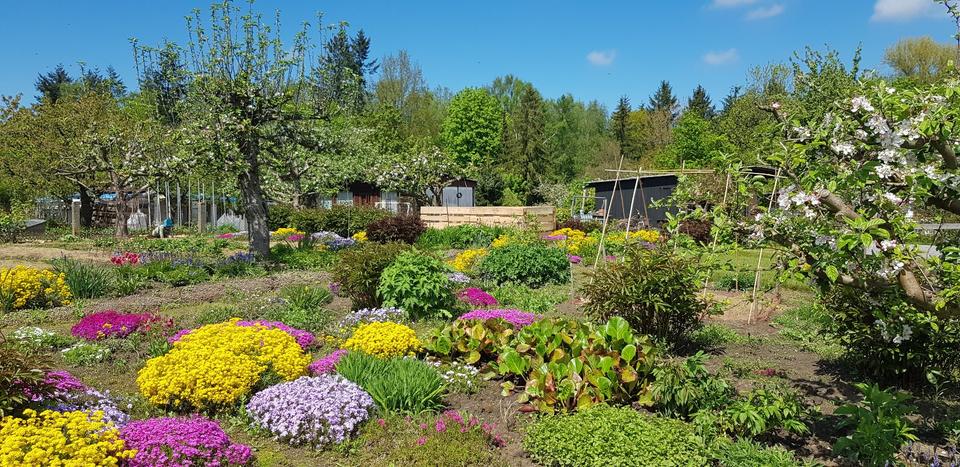 Grundstück Rostock - 1.800&euro; | Angebot:25402702