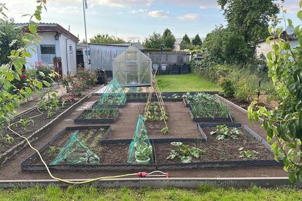 Garten in Rostock Evershagen zimmer