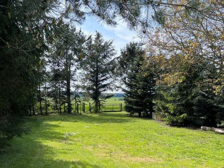 Grundstück zu verkaufen in Dettmannsdorf 69.500 € 1188 m²