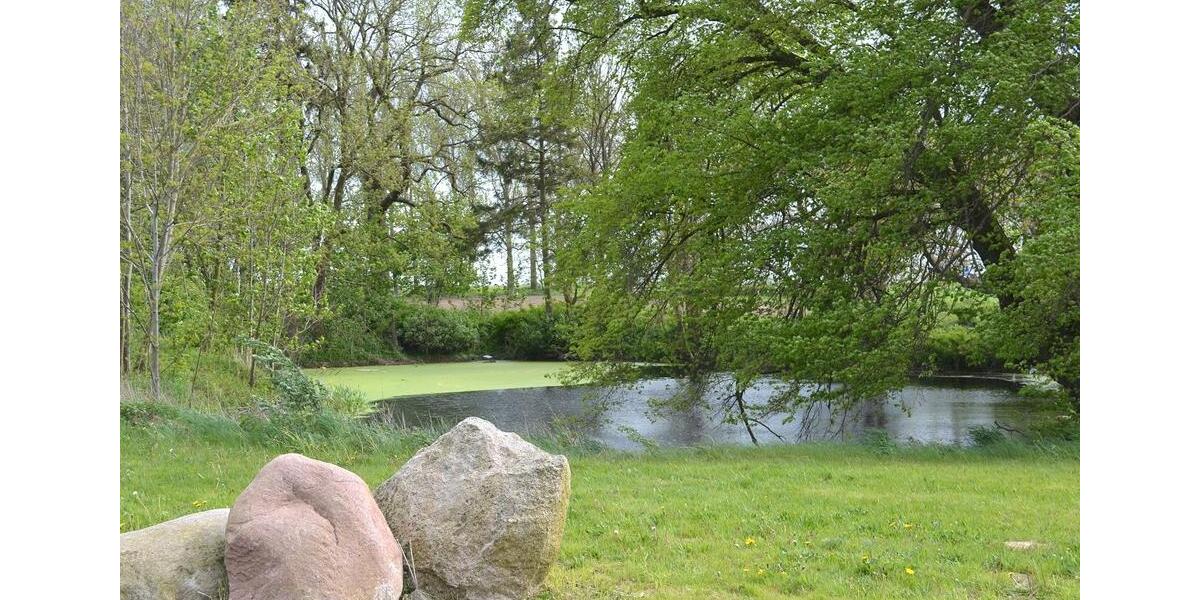 Grundstück Marlow - 399&euro; | Angebot:26549454