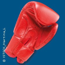 Die Känguru-Chroniken 18.12.2025 Großes Haus, Volkstheater Rostock