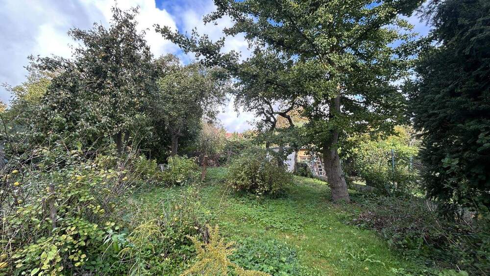 Mehrfamilienhaus, Wohnhaus Tessin - 1 Zimmer, 375 m&sup2;, 427.000&euro; | Angebot:25731048